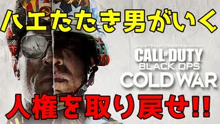 【COD:BOCW #2】人権を剝奪する偵察機を撃ち落とせ！ハエたたき男がいくCOD【AK-47】