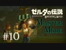 #10 ゼルダの伝説ブレスオブザワイルド　作業用実況プレイ