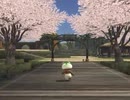 【FF11】ウィンダス水の区の桜ポイント