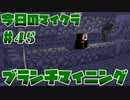 【今日のマインクラフト】～ブランチマイニング～【#45】