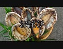 【実況】名作RPGをやろうpart5【ローグギャラクシー】