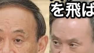 菅総理がゴム人？②と竹中平蔵もゴムの人？