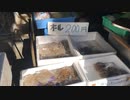 切り落としこんにゃく200円 東中野のこんにゃく工場 山田食品有限会社