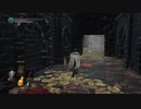 真・どんくさい私でもダークソウル3実況プレイpart12