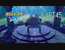 【ポケモン剣実況】nintendo switchを初めて手にした踝猫背のグダグダポケモン冒険記 part45