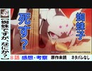 【蜘蛛ですがなにか？８話感想・考察】蜘蛛子はすでに死んでいる？