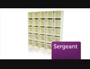 Architectural Grilles & Sunshades, Inc - Decorative Metal Grilles