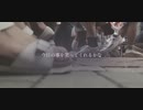『ドライフラワー/優里』cover by flower