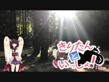 【ソロキャンプ（大滝山キャンプ場）】きりたんといっしょ！Ninja250 16km