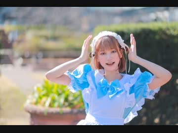 【駄犬】テルミーアンサー　【踊ってみた】