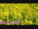 菜の花畑・鳥の声サンプル