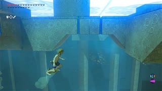 依頼を受けて、祠内部の見えない天井を突破してみた