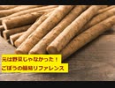 【スパイスを知ろう！】ごぼうを知ろう！【part89】