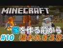 【Minecraft】初心者と一緒にのんびりマイクラ生活#10【女性２人実況】