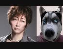 Gacktに里親に出されたフェンディーです！私は今……