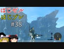 【ゆっくり実況】はじめてのゼルダはじめてのブレワイ part38【ゼルダの伝説ブレスオブザワイルド】