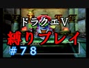 【ドラクエ5 縛りプレイ】サクサクプレイにつき新種族追加！イブールは倒せるのか？Part78【アルカリ性】