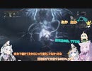 あか×あか+αヤーナム探訪　その12