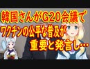 【韓国の反応】COVAXから供給を受ける韓国さんがG20会議で「ワクチンの公平な普及が重要」と発言【世界の〇〇にゅーす】