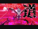 【ポケモン剣盾】破壊の繭と探求の道【イベルタル】