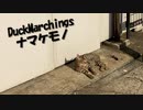 【MV】ナマケモノ　DuckMarchings