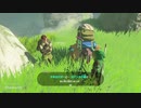 【ゼルダBotW】物無し商人