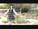 【23】スイートマジック【踊ってみた】