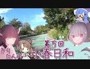 きりたんの小春日和 第５回（椿ライン）【バイク車載】