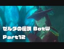 今更始めるゼル伝BotW実況 Part12