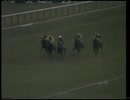 1980年 Dewhurst Stakes Storm Bird