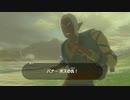 【縛り実況】再走かるしばマスモブレワイ祠巡りとコログ探し編part134。【的な何か】