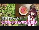 【思い切って野草を食べてみよう】#5 カラシナさんでちらし寿司！