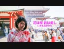[オフボSPC] 花は桜 君は美し / いきものがかり　(offvocal　歌詞：あり /　ガイドメロディーなし)