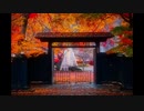 風カヲル時 - phantom