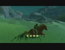 【ゼルダBotW】ある日の愛馬part1