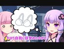 ぶらじゃー誘拐事件(被害者視点編)