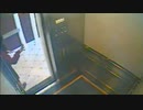 エリサ・ラム③綺麗な映像から見る考察