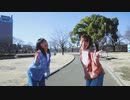 【 爽やかに 】FALL AND ROLL 踊ってみた 【 早春 】