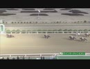 第3回ウインターチャンピオン ドラゴンゲート