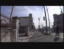 波うっているのは、スマートダストの電波