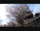 上空の光学兵器の放射線照射の波と地面と樹木の小型チップの電波の波。