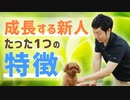 伸びる新人の特徴は上司に振り回されないバランス感覚を持っていること【20代のキャリア形成】