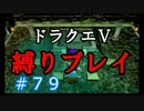 【ドラクエ5 縛りプレイ】エルヘブンから魔界へ…行く前に寄り道しよっかな？Part79【アルカリ性】
