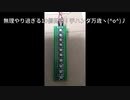 Raspberry PI PICO 有名なあれ