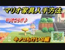 あつまれどうぶつの森　マリオ家具の入手方法は？　キノコちけいＳ編（マリオコラボ）【あつ森】