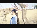 【莉依紗】さようなら、花泥棒さん　踊ってみた【春】