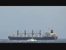 ある日の桜島（その２５９）＜強風でしける錦江湾と漁船と桜島を甲突川河口から＞