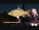 茜お姉ちゃんが川釣りのバイトをする話　初日