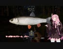 茜お姉ちゃんが川釣りのバイトをする話　二日目