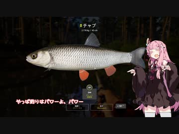 茜お姉ちゃんが川釣りのバイトをする話　二日目